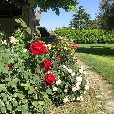 Bed & Breakfast Le Papillon De Soie Pierrelatte